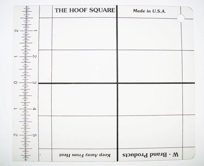 w brand the hoof square