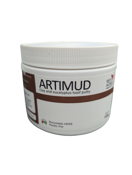 Artimud