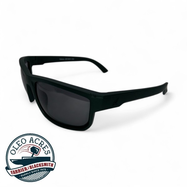 edge defiance safety glasses
