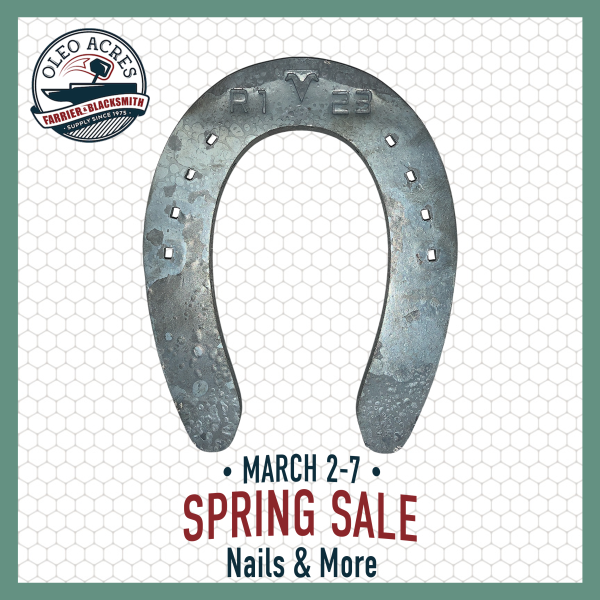 visani regular sliders spring into summer 2026