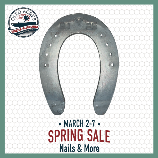 visani regular sliders spring into summer 2026