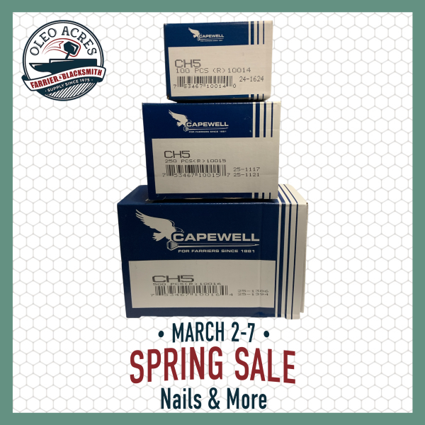 Capewell City Head 5 - Spring Into Summer 2026 capewell city head 5 spring into summer 2026