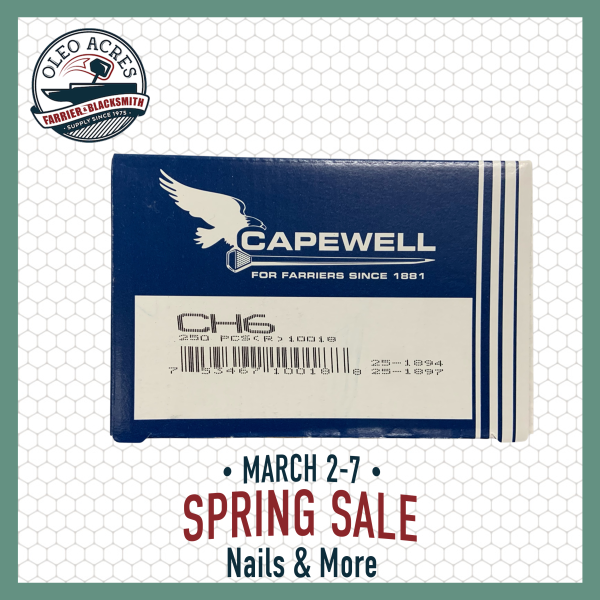 capewell city head 6 spring into summer 2026