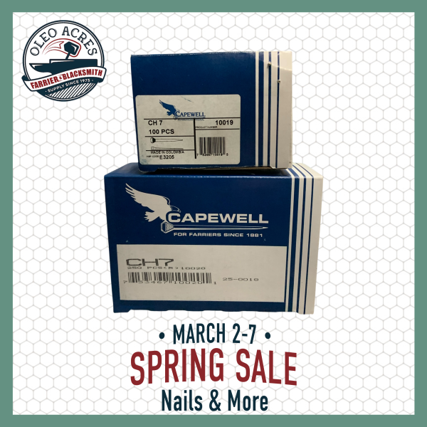 Capewell City Head 7 - Spring Into Summer 2026 capewell city head 7 spring into summer 2026