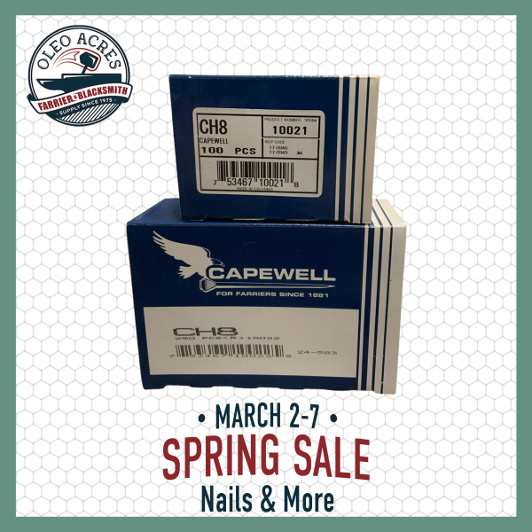 capewell city head 8 spring into summer 2026