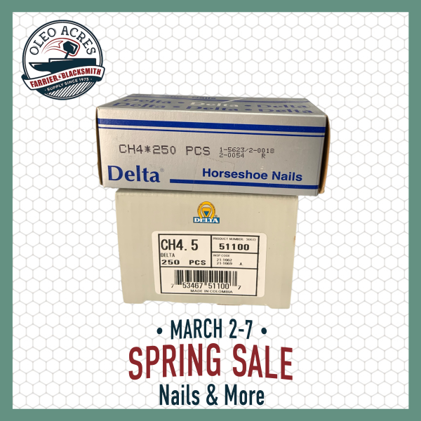 delta city head nails spring into summer 2026