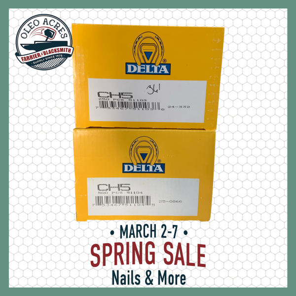 delta city head nails spring into summer 2026