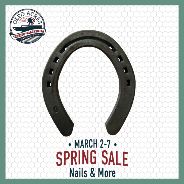 maverick rodeo hind spring into summer 2026