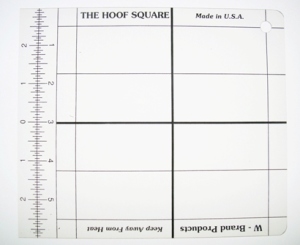 w brand the hoof square