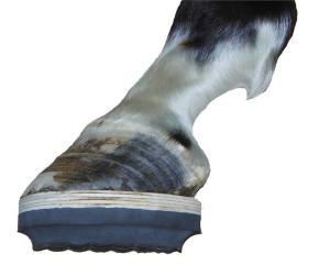 equicast wood clogs