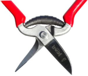 icar pad shears