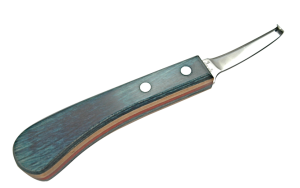 bloom forge hoof knife regular