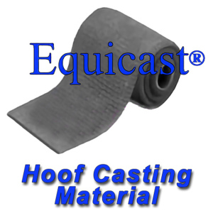 equicast