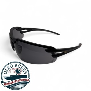edge salita safety glasses