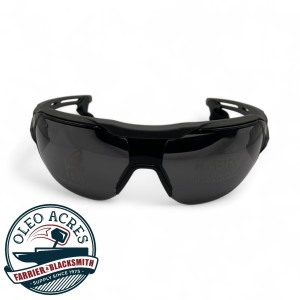 edge kabru safety glasses