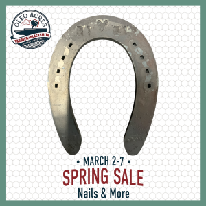 visani regular sliders spring into summer 2026