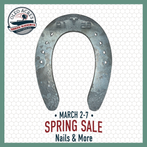 visani regular sliders spring into summer 2026